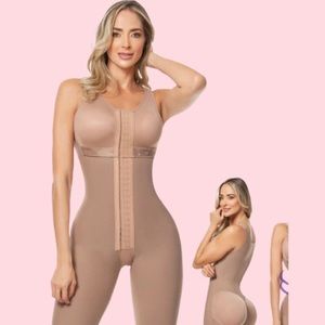 Celeste Stage 2 Faja